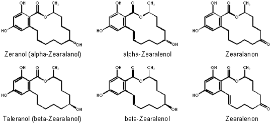 Chemische Strukturen von Zeranol, Zearalenon und strukturverwandten Stoffwechselprodukten