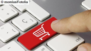 Einkaufen im Internet (Quelle: © momius/Fotolia) Einkaufen im Internet