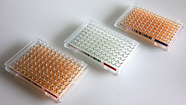 Antibiogramm erstellt mit der Methode der Bouillon-Mikrodilution