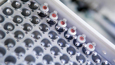 Futtermittelanalytik (Quelle: BVL) Das Bild zeigt ein Laborinstrument. (Quelle: BVL)