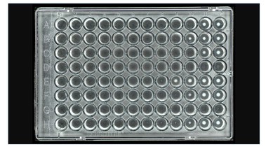 Das Nationale Resistenzmonitoring tierpathogener Bakterien (GERM-Vet) (Quelle: BVL) Das Bild zeigt eine Mikrotiterplatte.
