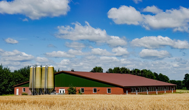 Die Bestimmung der Kennzahlen zu den Therapiehäufigkeiten (Quelle: Countrypixel - stock.adobe.com) Das Bild zeigt ein landwirtschaftliches Gebäude. (Quelle: Countrypixel - stock.adobe.com)